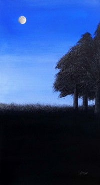 Irtiza Kazmi, Twilight, 16 x 30 inches, Acrylics on Canvas, Landscape Painting, AC-IRTK-018